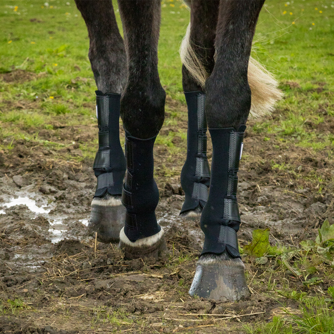 XF Sold in Pairs Shires Neoprene Mud Fever Protection Turnout Socks P C F